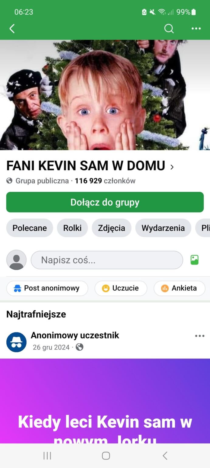 the phenomenon of the movie HOME ALONE the phenomenon of the movie HOME ALONE