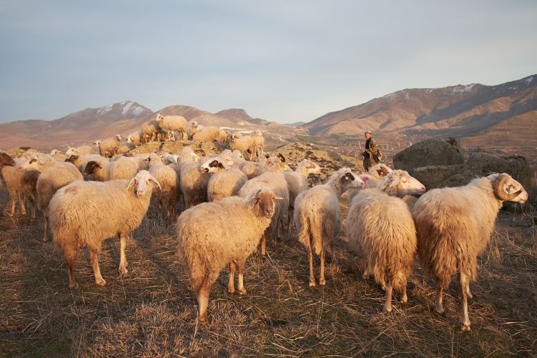 A shepherd with a flock of sheep is seen near Prilep. The mountains that distinguish the country also preserve distinct cultural regions and traditions.