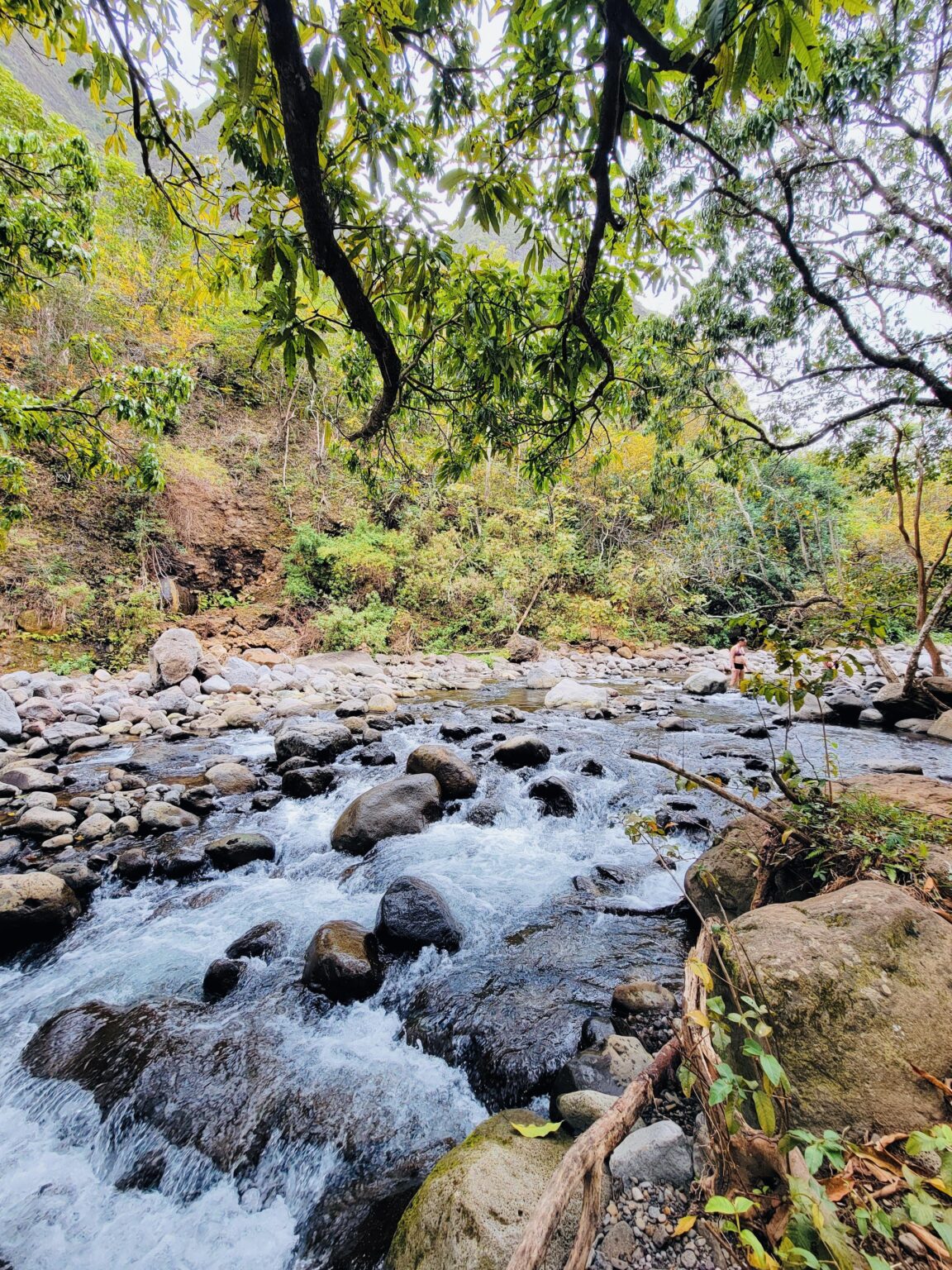 Iao Valley in Maui Hawaii