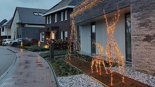 Absurdly high temperature for December: up to 14 degrees