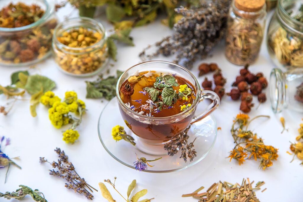 Croatian Herbal Teas From Podravina Brew Success on Global Markets