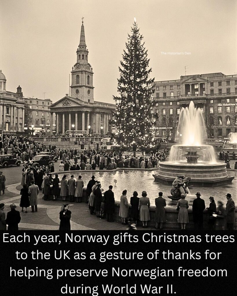 Since 1947, Norway sends a Christmas tree to London every year : a token of appreciation for Britain’s support in WW2