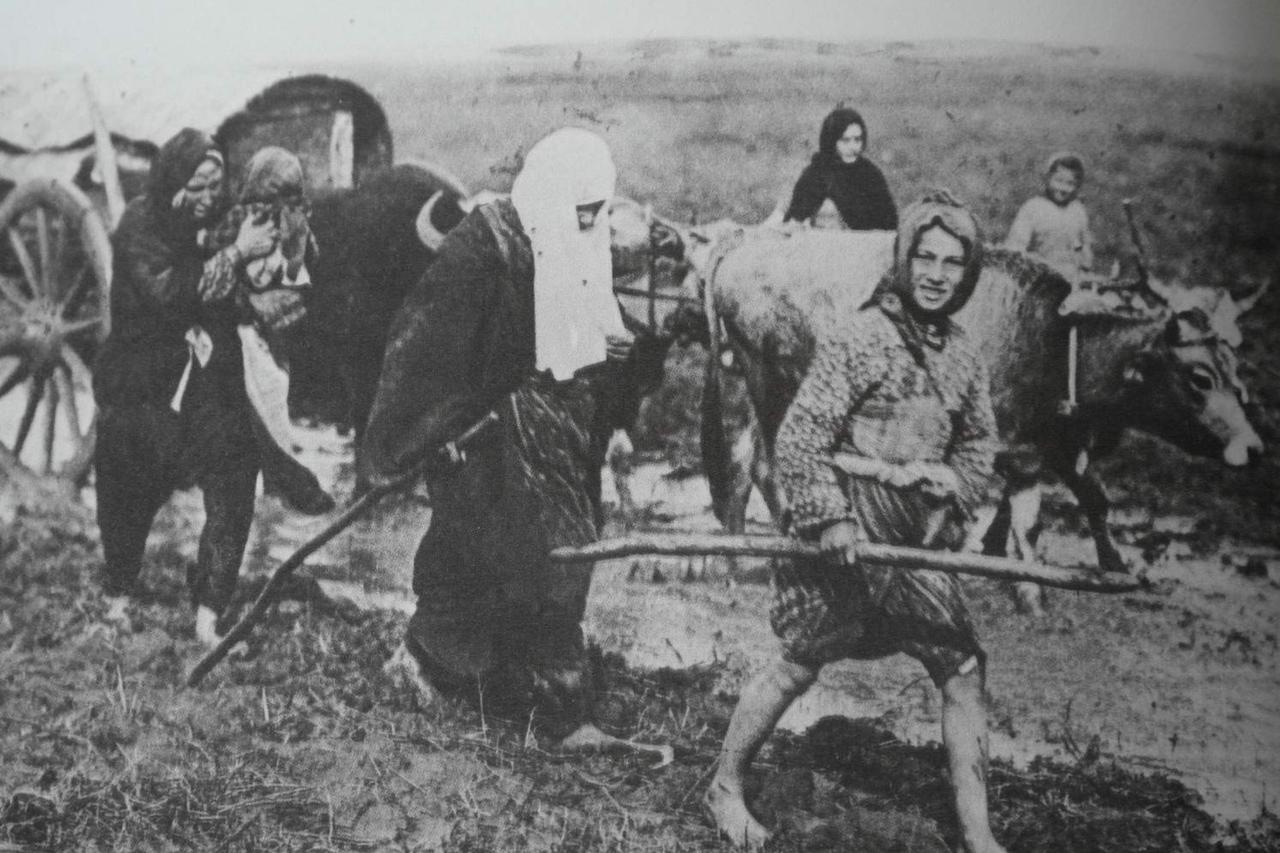 How 1878 redrew the Balkans, displaced its Muslim communities, study says