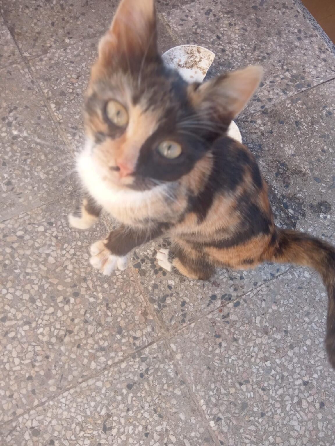 What should I name her?