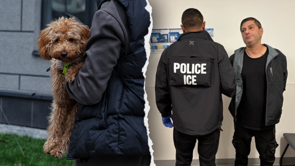 ICE arrests illegal immigrant from Azerbaijan with multiple convictions