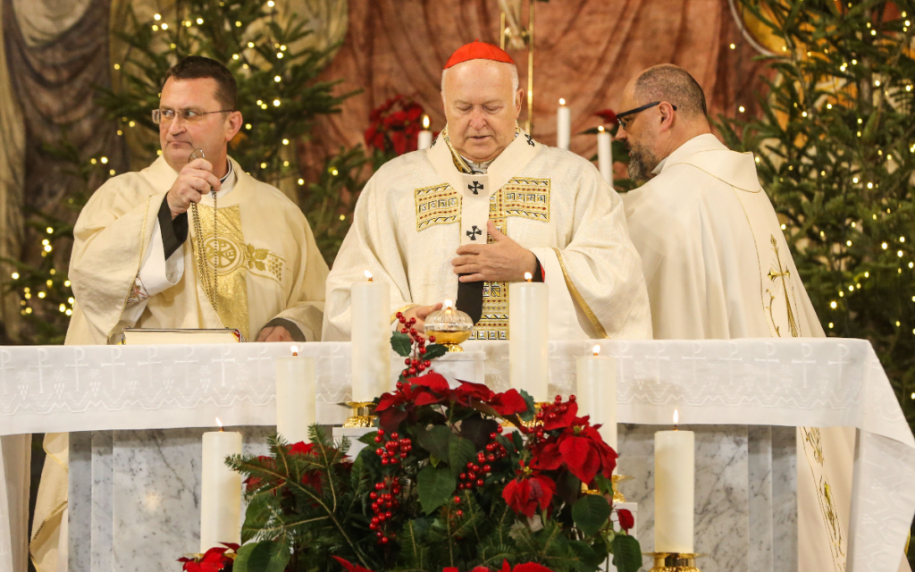 CHRISTMAS MESSAGE OF CARDINAL NEMET: Diversity in our society should not lead to deep divisions!