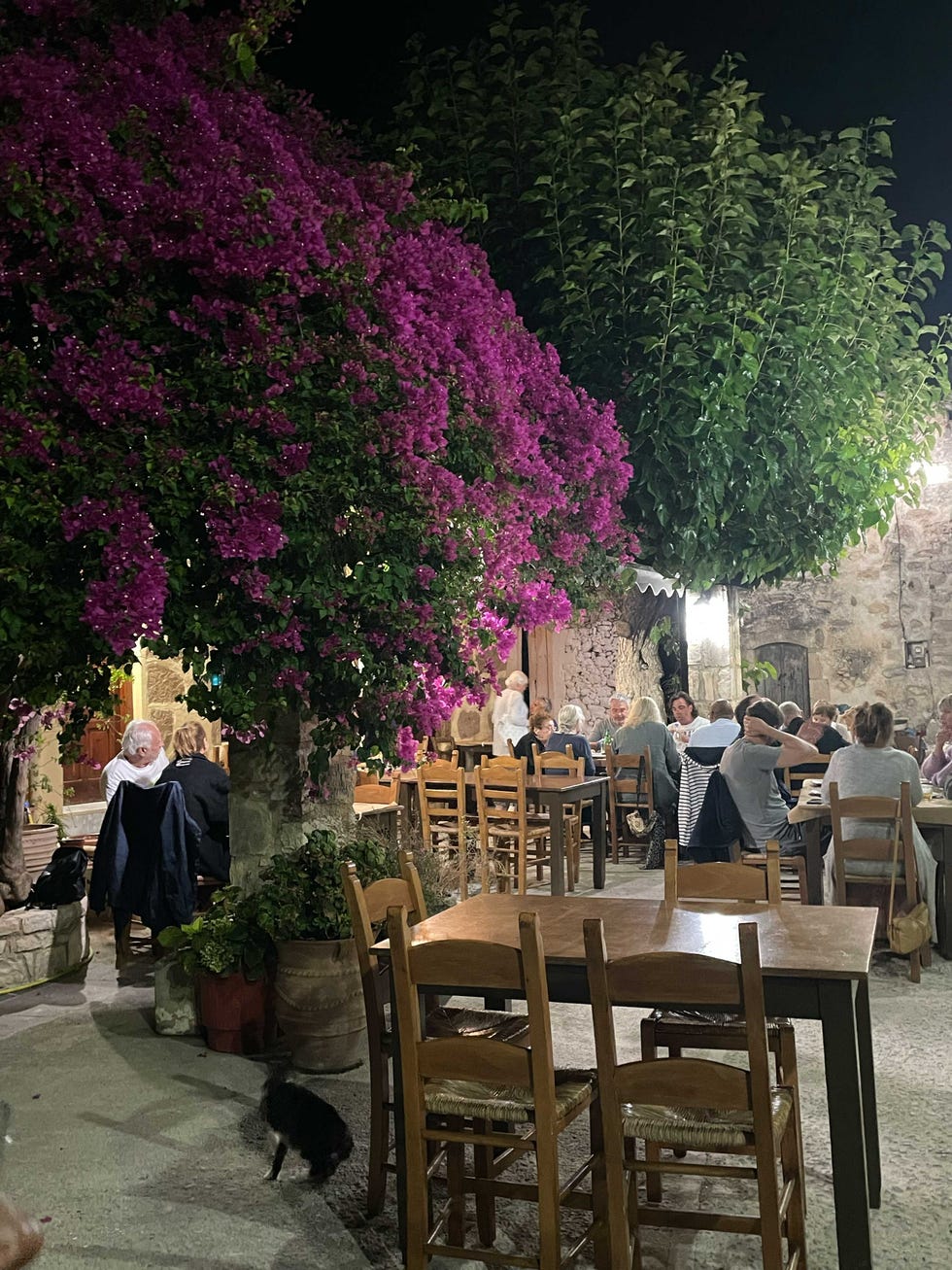 outdoor dining area surrounded by vibrant bougainvillea and patrons