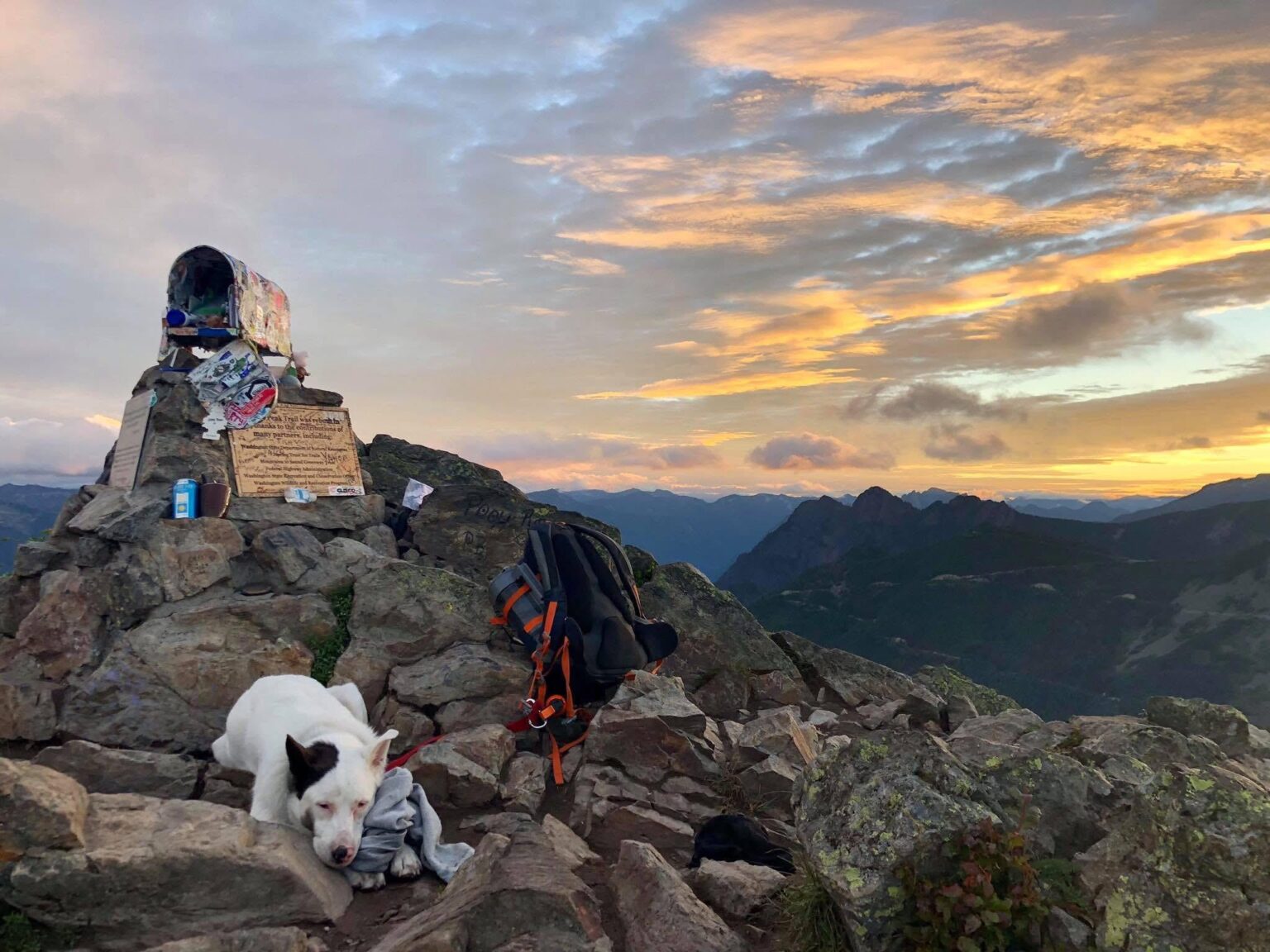 Waiting for sunrise and the mail delivery