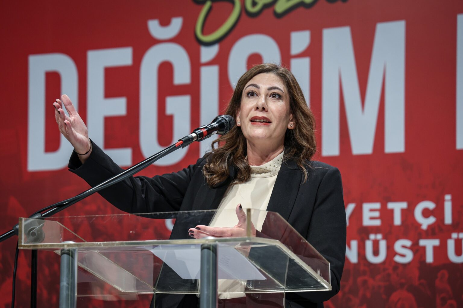 cover Turkish Cypriot opposition leader says early elections are ‘inevitable’