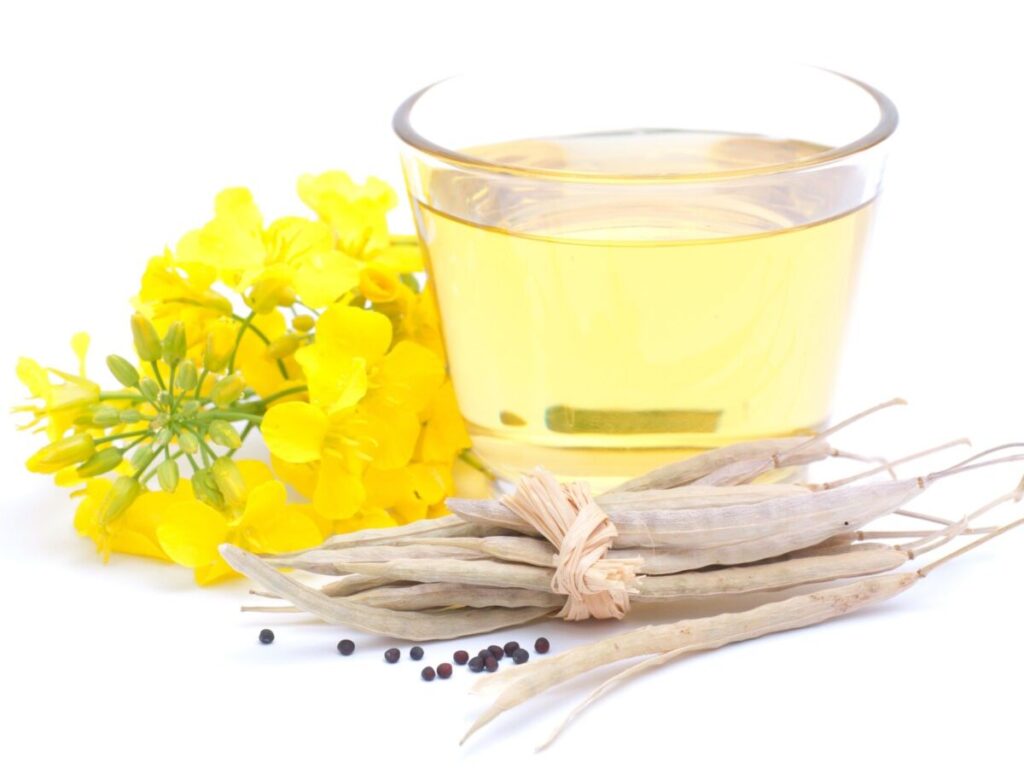 Bulgaria. Rapeseed market. Current situation ріпакова олія