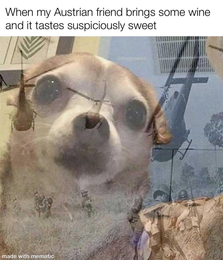 On the occasion of Christmas guests