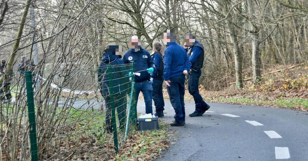 Woman is pulled from bicycle and raped right next to E17 in Kortrijk: perpetrator (25) quickly caught after manhunt
