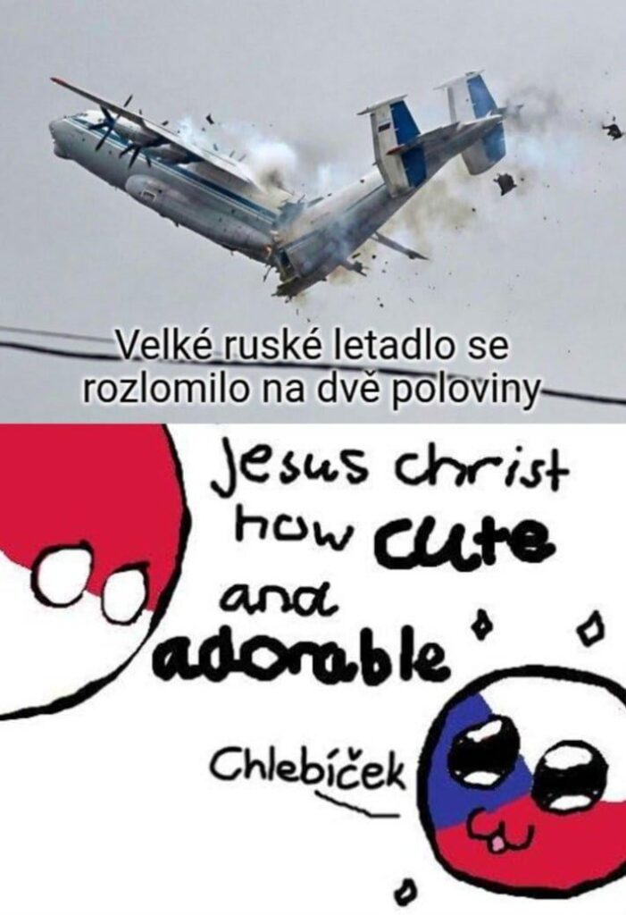 Why are they so cute?