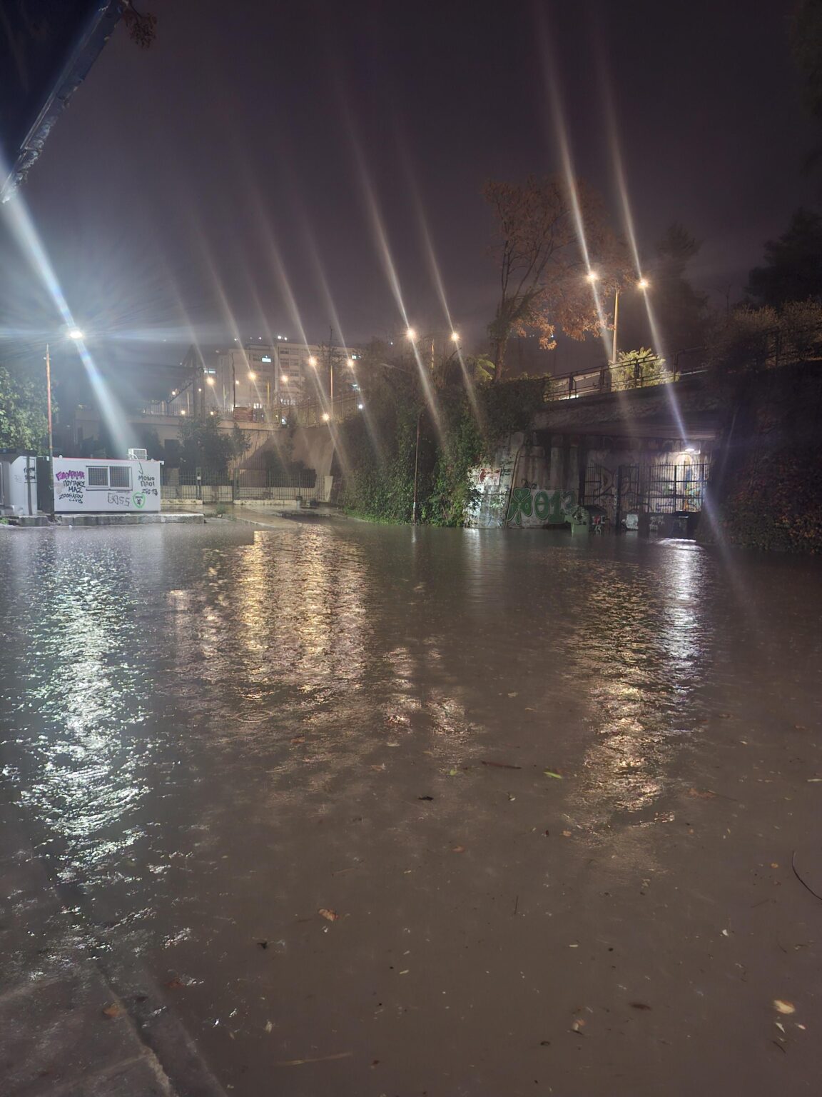 Now, thanks to the government's flagship flood policy, we can swim before we go to Philosophy.