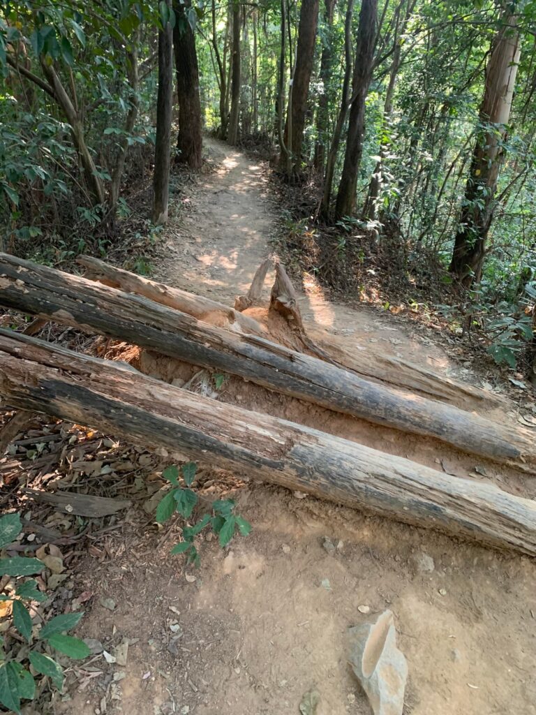 Took a walk up the mountain. Pretty relaxing.