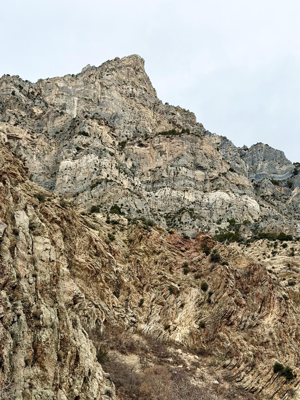 Love the rock folds up Rock Canyon