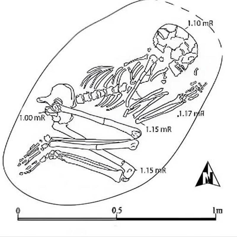 Lion Attack Burial