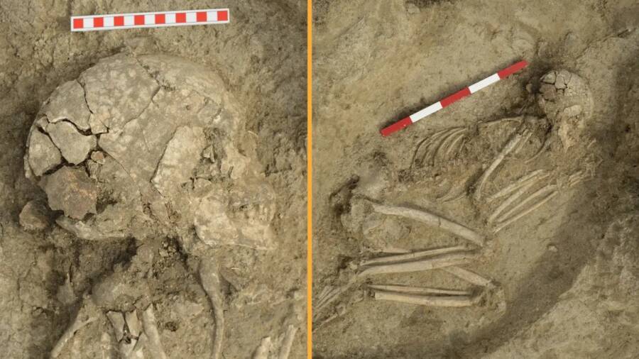 Bulgaria Copper Age Lion Attack Skeleton