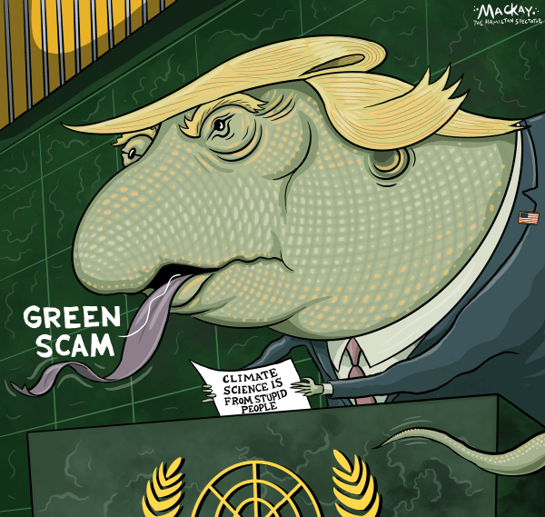 Action on Climate Languished in 2025