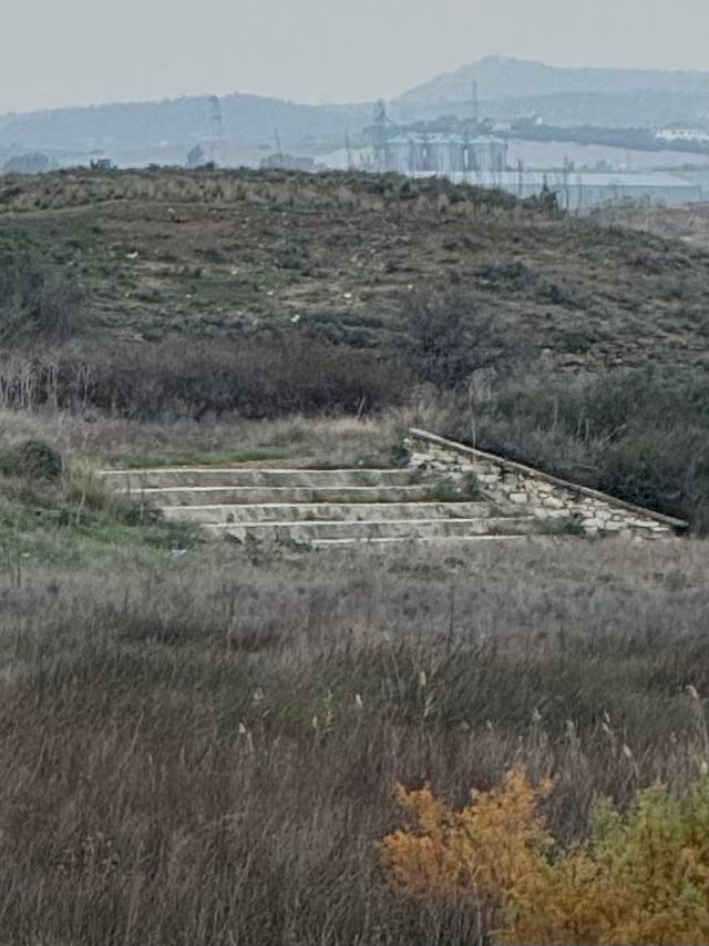 Anyone knows what are these stairs in the middle of nowhere in Larnaca Saltlake?