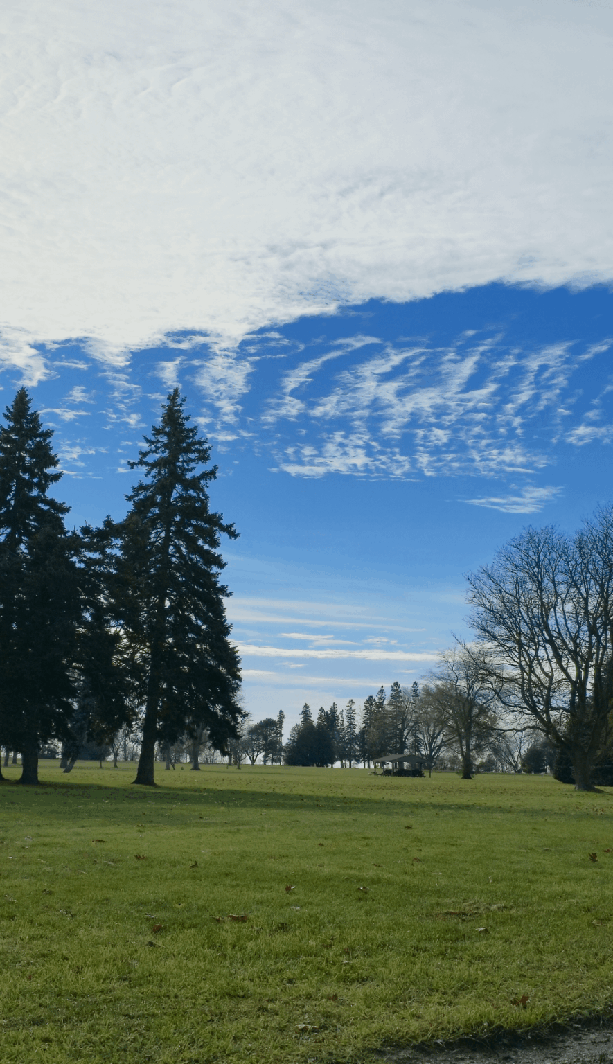 Beautiful Colours of Nature 💚