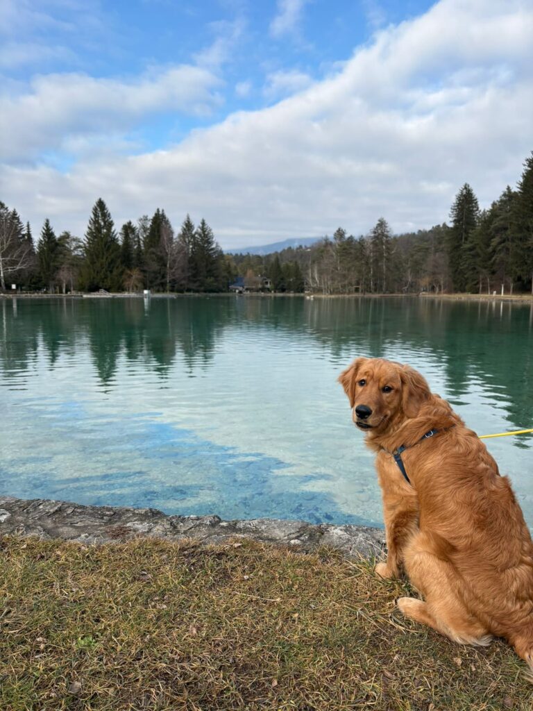 Does anyone have a kid who would like to play?