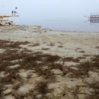 186 of 240 lakes in Türkiye dried up.
