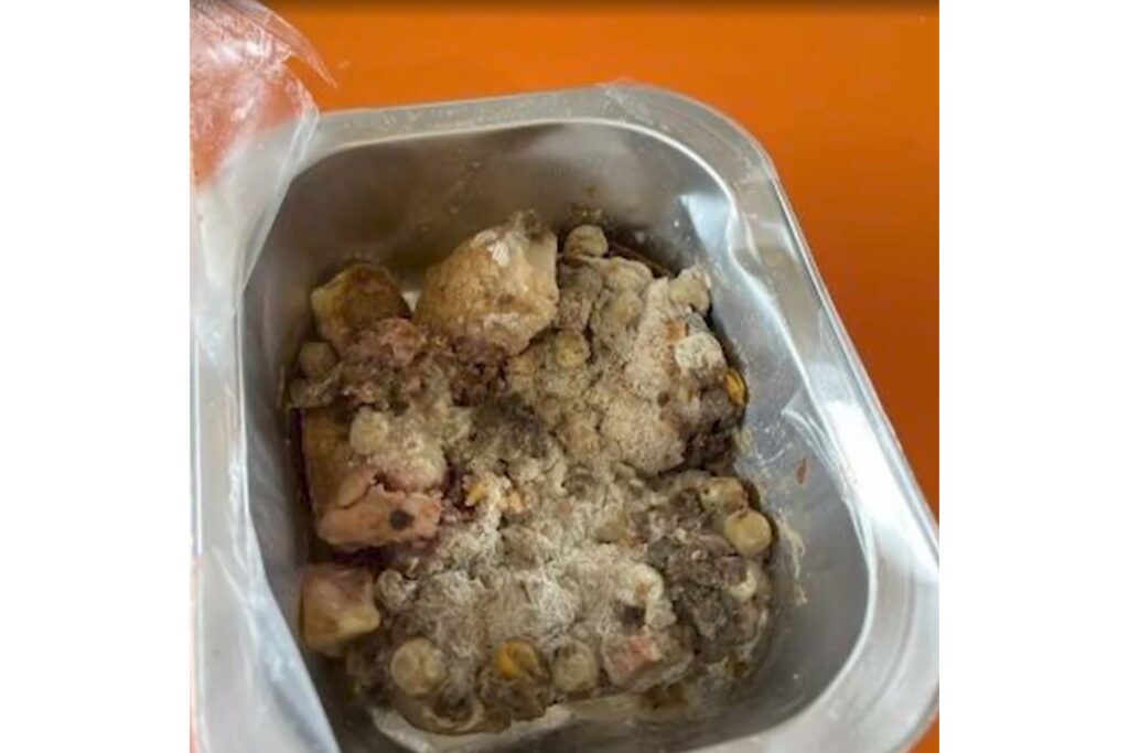 New Zealand Students Were Served ‘Moldy and Liquified’ School Lunches New Zealand Students Were Served 'Moldy and Liquified' School Lunches