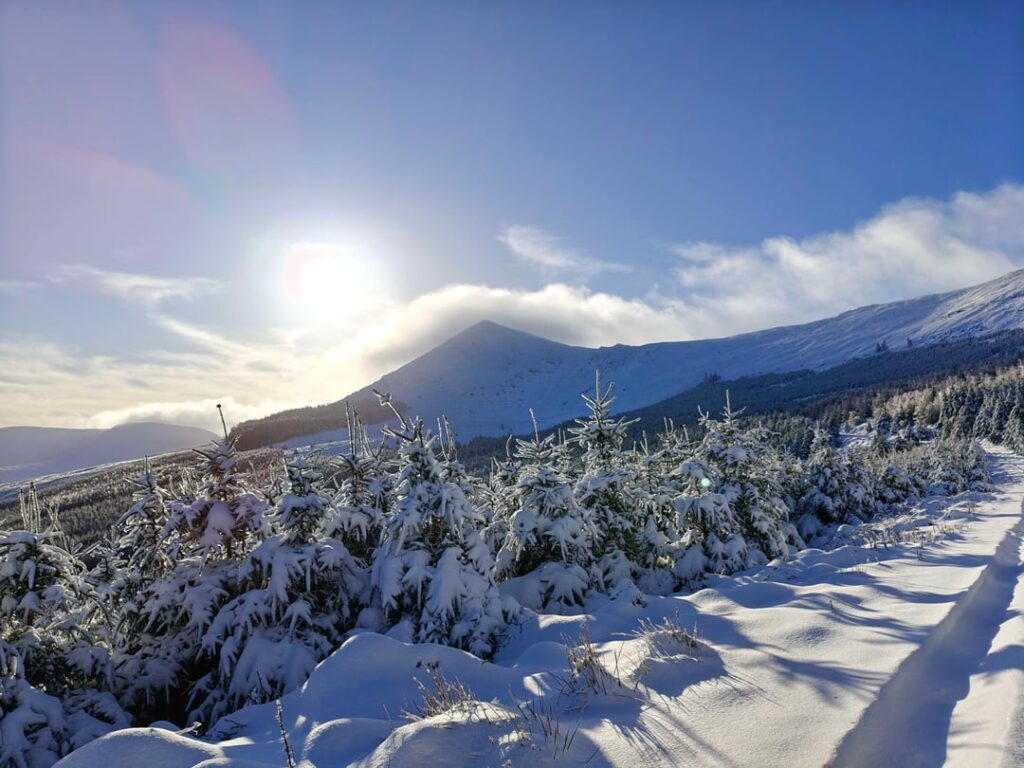 Winter Vs "Summer" in the Comeragh's