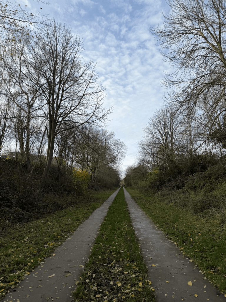 Nature’s version of noise-cancelling.