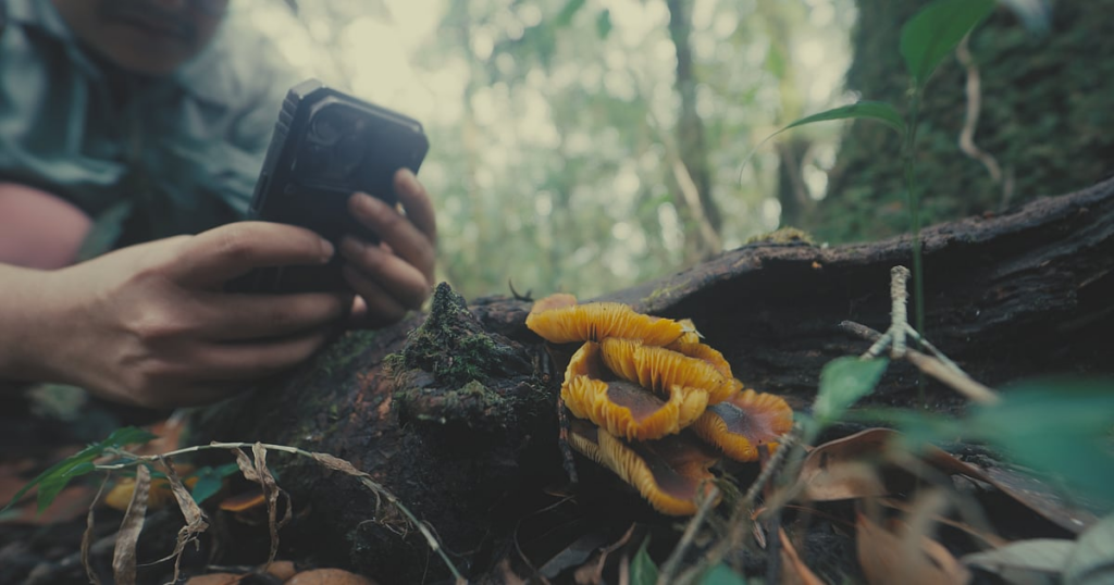 All Living Things Environmental Film Festival to highlight environmental issues