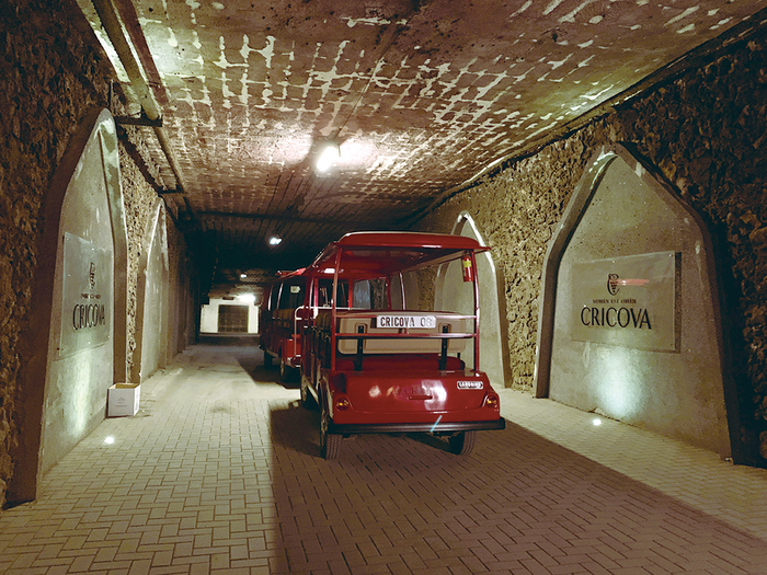A total of 120 km of the winery's inner walkway. Among them, I traveled by train for about 4 to 5 kilometers.