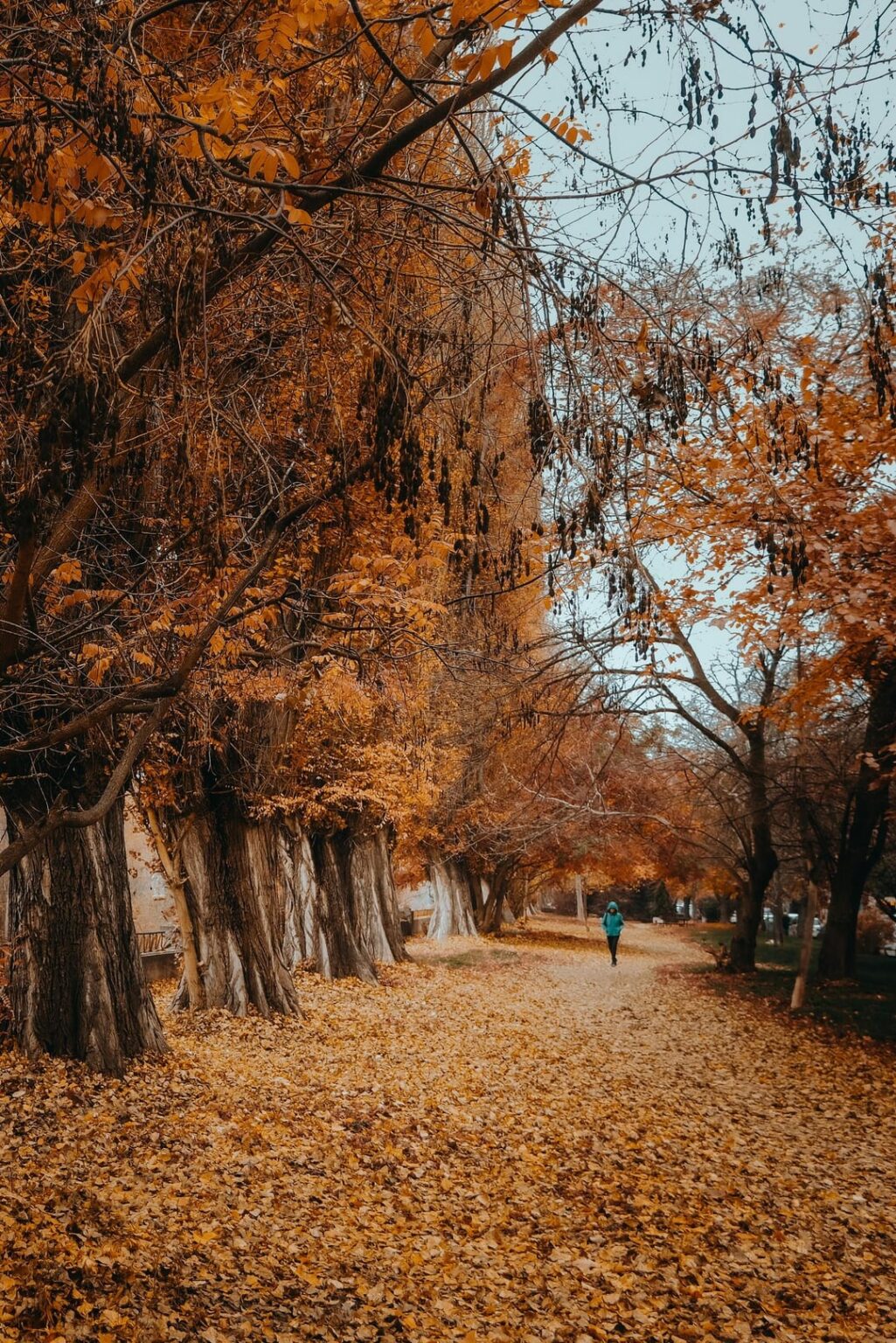 A slightly darker, autumnal Plovdiv
