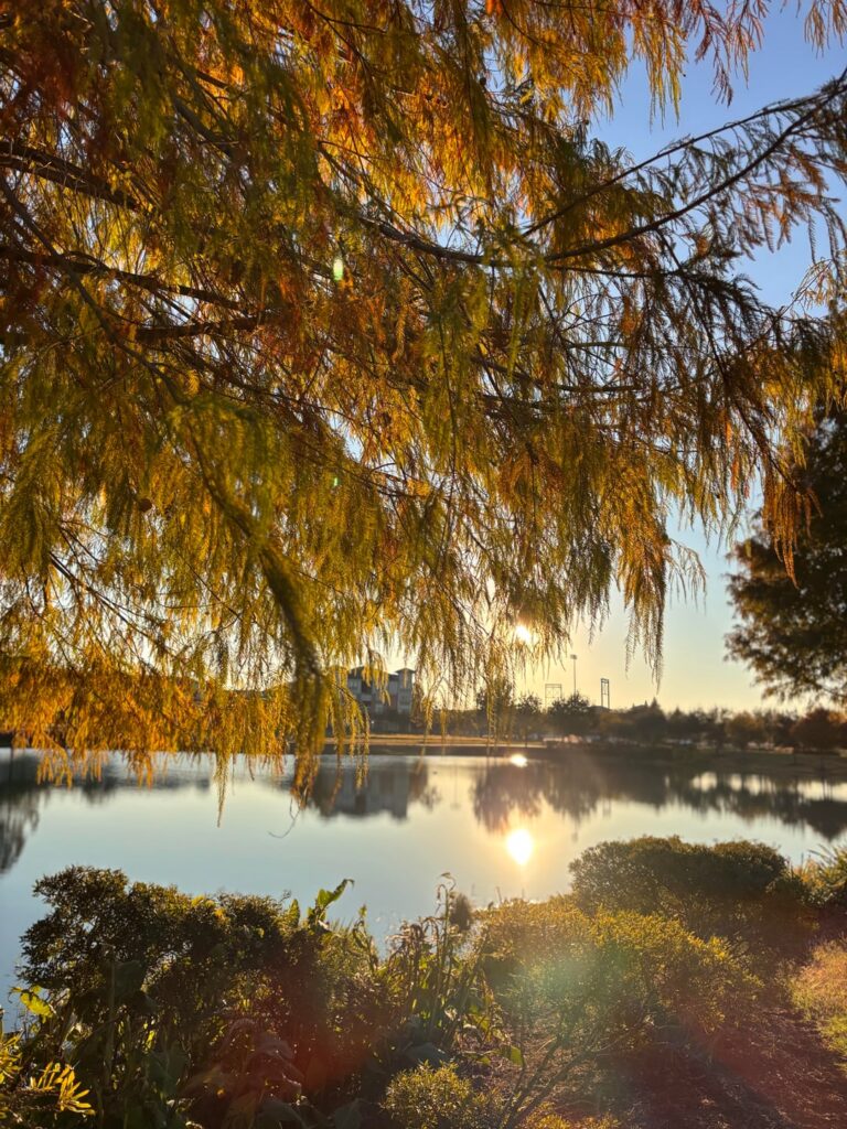 It was a beautiful evening in Sugar Land TX.