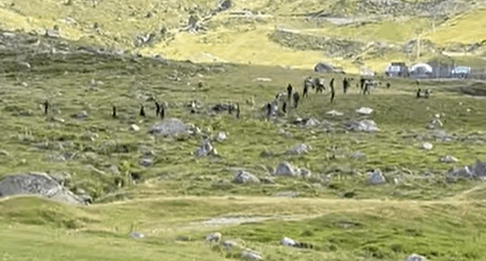 Smugglers create panic by leaving a car on the tracks near Andorra