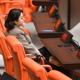 Member of parliament who thinks "I got off the mountain and onto the slopes"