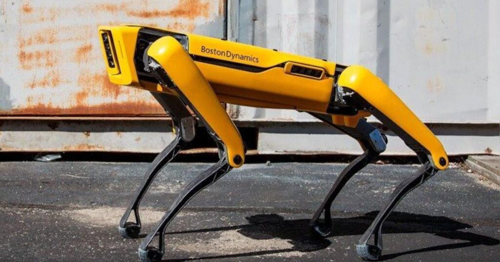 Defense buys 14 robot dogs for 7.6 million euros