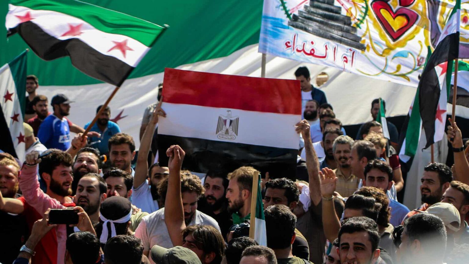 Egypt flag in protest