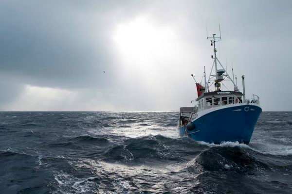 Norwegian crustacean report week 45 2025