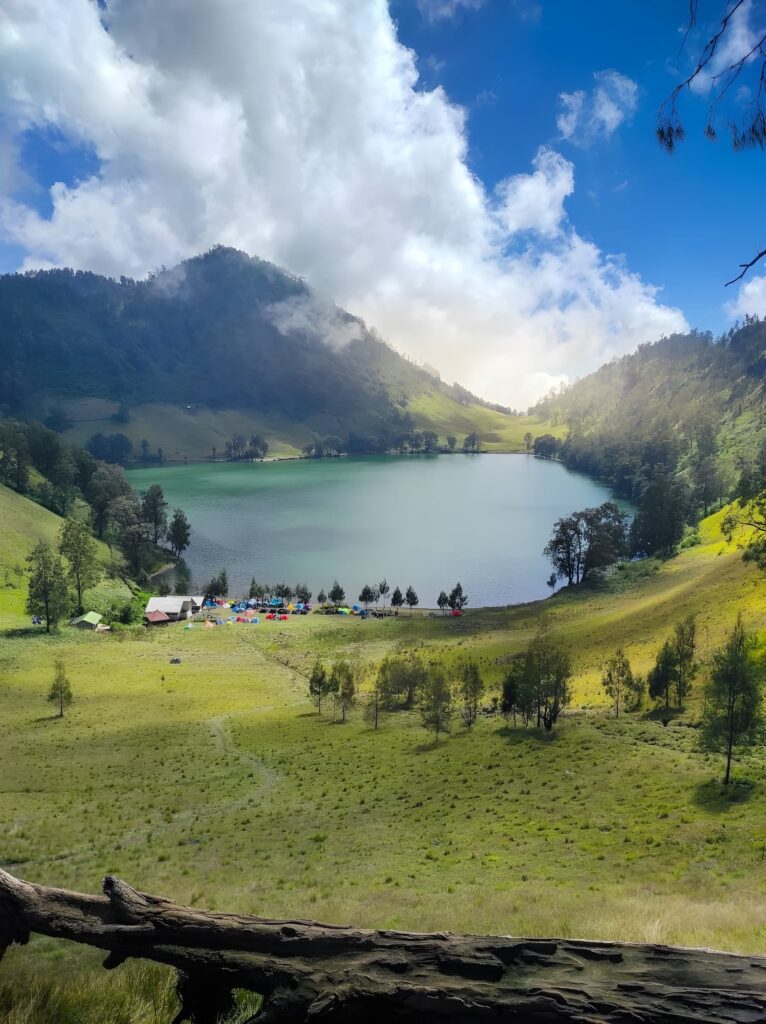 The beauty of nature in its purest state.