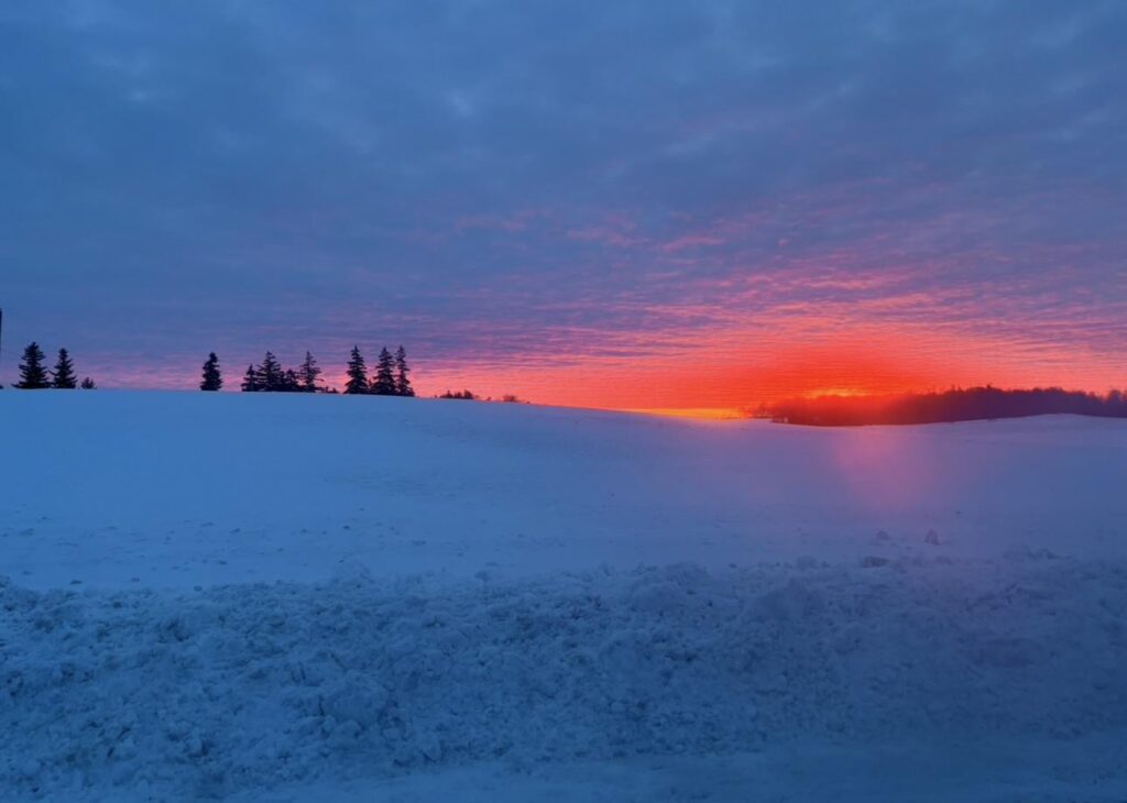 Beautiful Winter Mornings