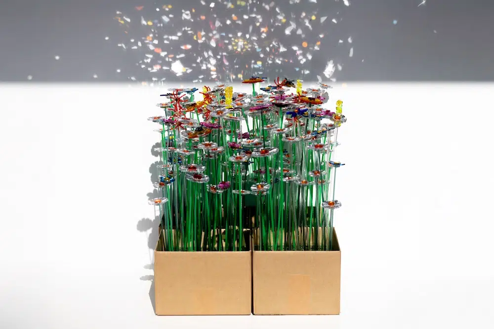 Reflecting Diverseness by studio mo man tai