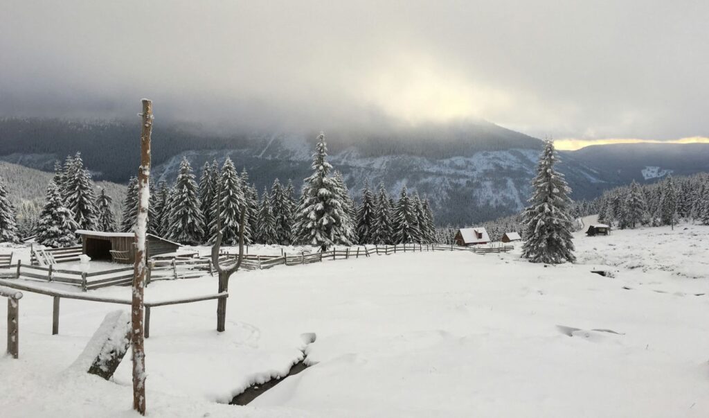Wintry Turn of the Year in the Czech Republic