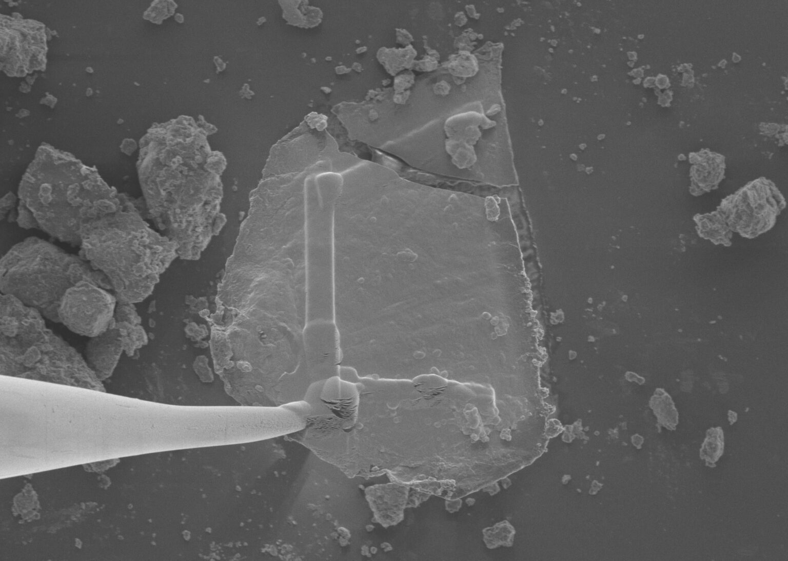 Sugars, ‘Gum,’ Stardust Found in NASA's Asteroid Bennu Samples