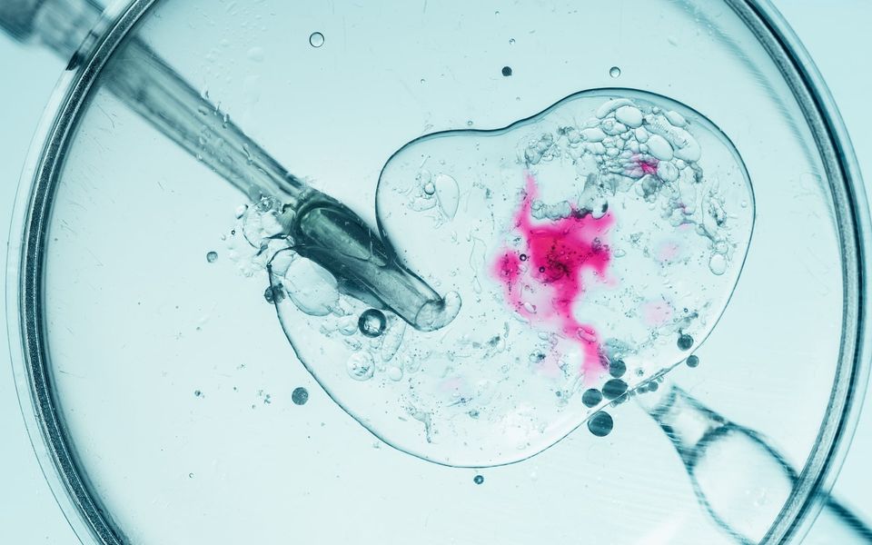 Cancer-linked gene from Danish sperm donor found in four children in Greece