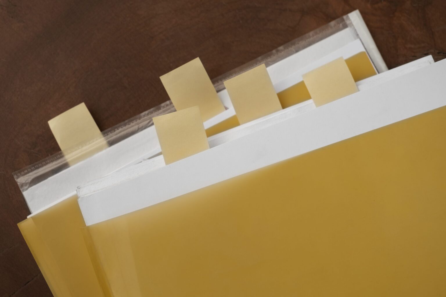 Black cat maneuver: Lithuanian opposition uses obstruction technique for first time Black cat maneuver: Lithuanian opposition uses obstruction technique for first time