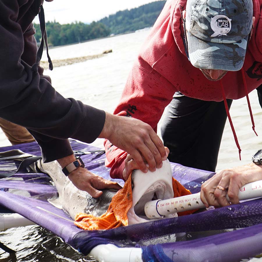 A year of environmental upheaval, adaptation and action