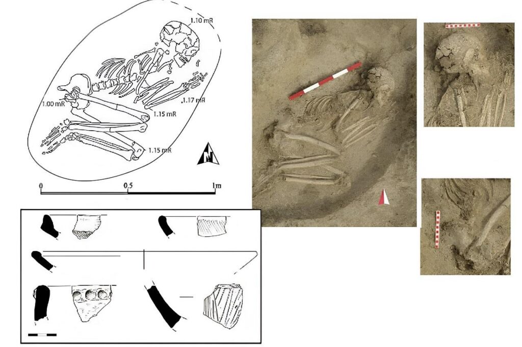 6,000-year-old skeleton reveals survival after a violent lion attack in ancient Bulgaria
