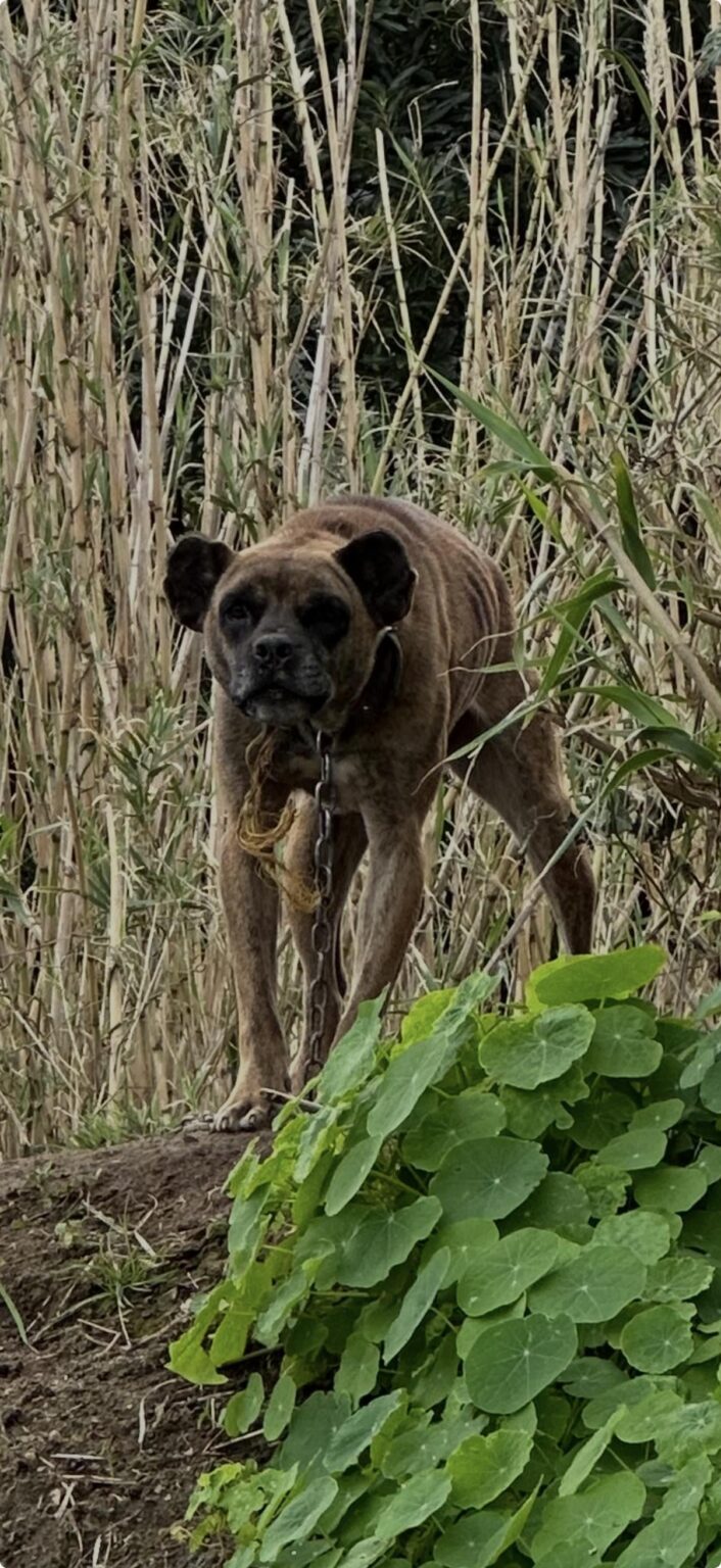 Spotted while walking in the woods