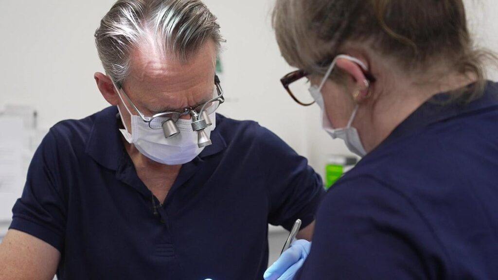 New dental agreement gives Danes free dental visits